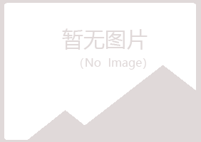 安阳文峰夏日咨询有限公司